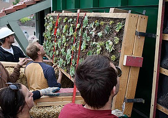 living brick living wall, green wall, green brick, living brick, green materials, vertical garden