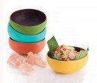 Colorful Bowls Made from Real Coconuts Shells