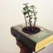 Book planter, hardcover book planter, planter book, DIY book garden planter