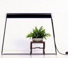 Stylish Kusamono Lamp Makes Indoor Gardening a Breeze
