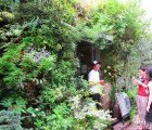 Enchanting Vertical Garden is Really a Flora Filled Bar in Disguise