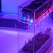 sustainable design, green design, green gardening, hydroponic gardening, micro grow, pocket grow, led