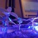 sustainable design, green design, green gardening, hydroponic gardening, micro grow, pocket grow, led