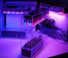 LabBox: The World’s Smallest Hydroponic Gardening System