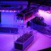 sustainable design, green design, green gardening, hydroponic gardening, micro grow, pocket grow, led