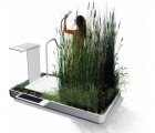 An Eco-Shower Equipped with Water Filtering Plants