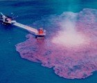 Scientists Say Hungry Microbes Ate Giant BP Gulf Oil Plume