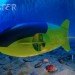 france, pedal-powered submarine, submarine, yellow submarine, scubster, pedal-powered submarine, french pedal powered submarine, scubster pedal power, scubster french submarine