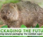 Amazing Natural Packaging: The Wombat’s Super Butt!