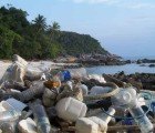 American Samoa Becomes First U.S. Territory to Ban Plastic Bags