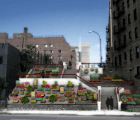 ARTfarm Project Turns Gritty New York Streets Into a Green Haven