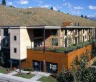 Town Eyesore Turned Beautiful Green Terraced Building