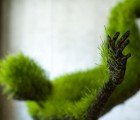 Compostable Sculptures: Human Forms Sprout from Wheatgrass