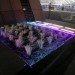 rain catchment, embedded solar, House of the Future, innovarchi, green building concept, Australian green home