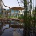 rainwater collection, rooftop garden, straw bail cottage,Urban Ecology Australia, Ecopolis architects, Green Building, Australia green building, Adelaide green building, ecotown, eco development, green urban living,