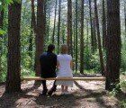 Brench is a Seat Between Two Living Trees