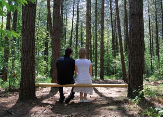 Brench2-by-Andries-Vanvinckenroye.jpg brench, tree, bench, green design, living bench, living seating, eco design