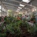 living building, certified living building, green design, green building, sustainable architecture, omega center for sustainable living