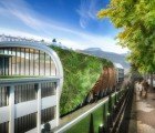 Green Wave: Thermal Pool Wrapped With a Living Wall