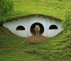 Lord of the Rings Hobbiton Transformed Into Town for Sheep