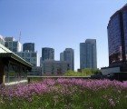 NYC Mayor Bloomberg Announces Green Roof Initiative