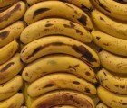 Giant Banana Wall Ripens With a Message of Profound Flavor