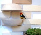 Adorable Brick Habitats Are Mini Homes for Birds and Squirrels