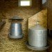 Home farming, chicken coops, humane chicken coops, green chicken coops, diy chicken coops, raising chickens, backyard chickens, hens, hen coops, Mitchell Snyder, Shelley Martin, Portland, yard chickens, rooftop gardens, living roof, organic farmic, organic eggs