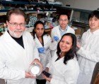 Silicon Nanopores Could Increase Lithium Ion Battery Capacity By 10x