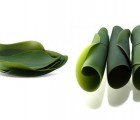 Flexible Leaf Dishes Fuse Nature, Tradition and Technology