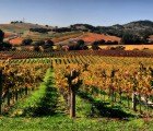 Enter the HP Reimagine ROI Contest to Win a All-Expenses-Paid Vacation to Napa Valley!