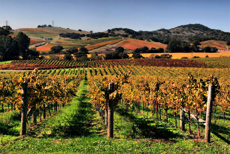 napa valley green design, hp, laptop case, laptop sleeve, recycled, reimagining roi, return on investment, reused, shipping envelope, wireless router, using technology to get a date, multiuse products , voltaic solar backpack, napa valley, win a trip to napa valley, giveaway