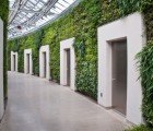Largest Green Wall in North America to be Unveiled Tomorrow!