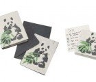 Panda Paper Set is Made From Poo!