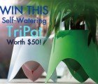GIVEAWAY: Win This Self-Watering TriPot Worth $50!