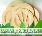Compostable Packaging Test: Do Bambu Plates Breakdown?