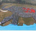 Art Visible From Space Brings Attention To Climate Change