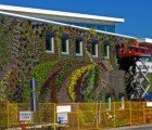Gargantuan Living Wall with 10,000 Plants Completed in Canada