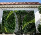 Gorgeous Green Wall Adorns Palm Beach Shopping Center