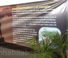 COP16: Reporting from Day 1 of the Climate Talks in Cancun