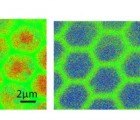 Transparent Solar Material Could Lead to Photovoltaic Windows
