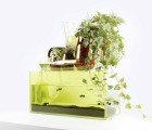 “Domestic Ponds” are Tabletop Ecosystems for Your Home