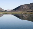 Estuaries Could Provide Clean Power to Cities