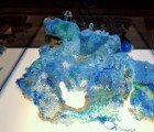 Artists Turn Plastic Waste Into Beautiful Art