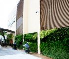 Biozotea’s Verdant Vertical Garden in Mexico