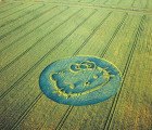 Amazing Natural Ads Printed in Sand, Snow, and Grass