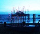 LED Installation Sheds Light on the Plight of Endangered Starlings