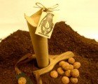 Seed Bomb + Slingshot Kit is an Explosive Holiday Gift