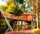 Tree Adventure is a High Flying Walkway with a Giant Bird Nest