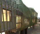 A Bamboo Forest Wraps This Beautiful Taiwanese Home